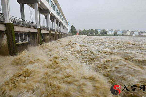 梦见洪水来了家人走散