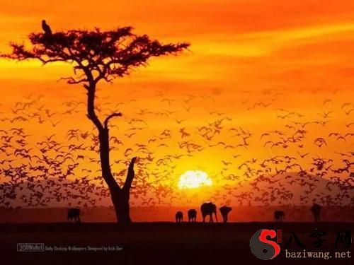 梦见阳光照在身上