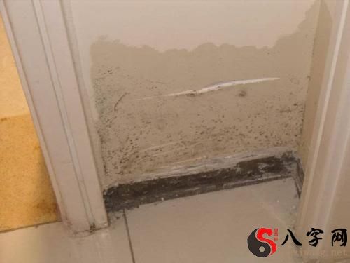 梦见水把家里的墙冲倒了