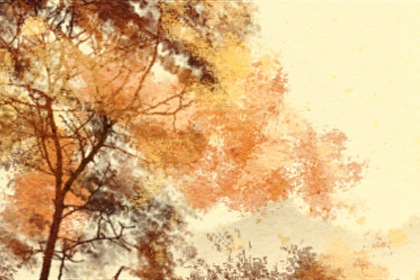 81年五行属什么五行 1981年属鸡是什么命 81年五行属什么五行 1981年属鸡是什么命