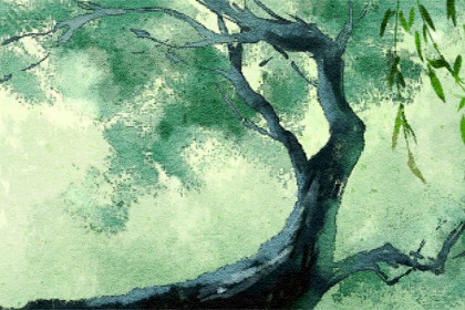 97年五行属什么五行 1997年属牛姻缘在哪年最旺盛 97年五行属什么五行 1997年属牛姻缘在哪年最旺盛