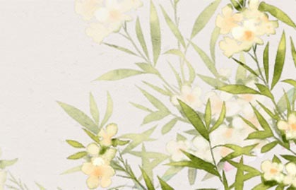 植物1-(2) 植物1-(2)