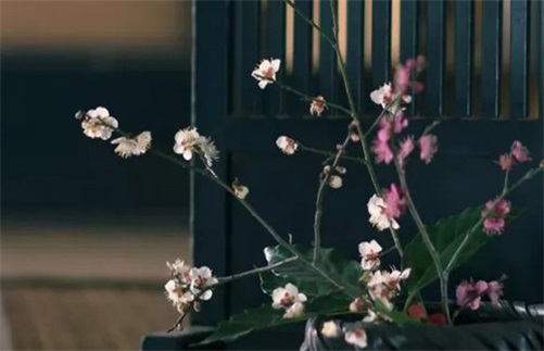 生肖属马2023年7月出远门吉利日子,出行吉日查询