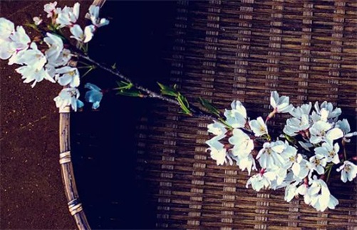 生肖属羊2023年7月出远门吉利日子,出行吉日查询